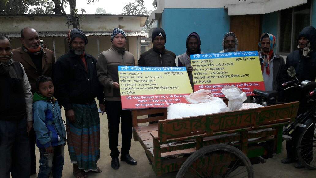 ধান গম ও পাট